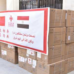 تتضمن الشحنة الثانية المقدمة من الصين 4 أطنان