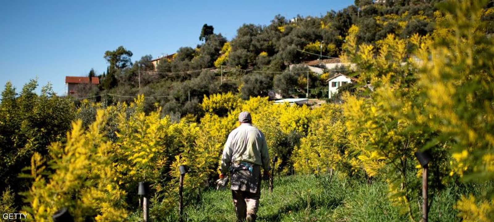 أرشيفية لإحدى القرى في إيطاليا