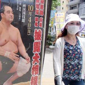 مصارعة السومو تحظى بشعبية كبيرة في اليابان