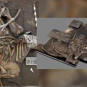 العظام تعود لفيل قبل نحو 300 ألف سنة