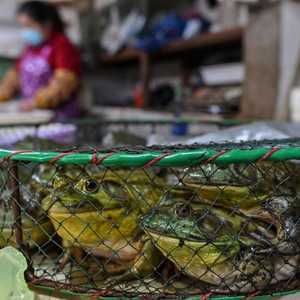 الأسواق تثير جدلا واسعا