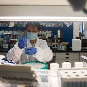 كيف ظهر فيروس كورونا؟