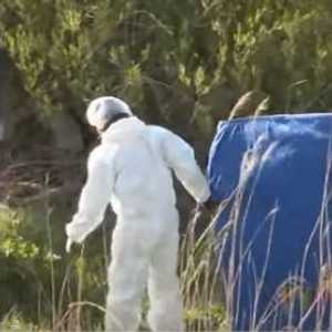 ضحيتا تشوي تتحدران من مدينتي جيونجو وبوسان