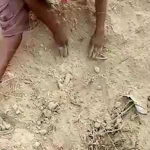 الحادثة أثارت ذهولا وسط الأهالي