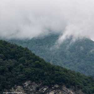 النيران المستعرة تلتهم الغابات في إيران