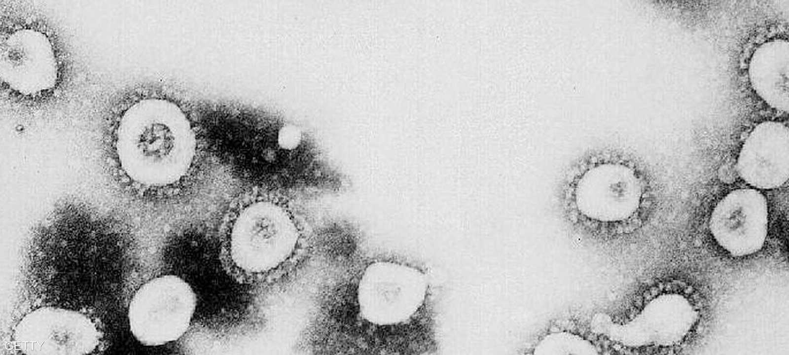 فيروس كورونا.. هل يختفي؟