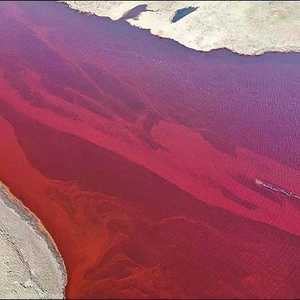 الوقود حول النهر إلى اللون الأحمر