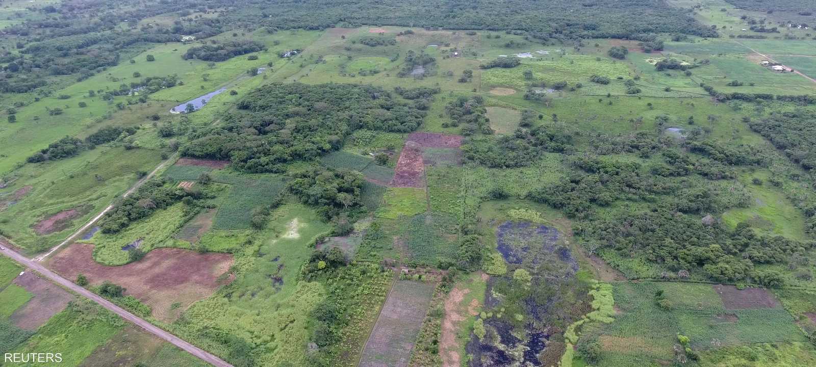 جانب من الاكتشاف الجديد