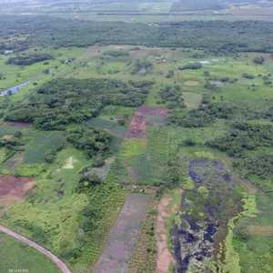 جانب من الاكتشاف الجديد