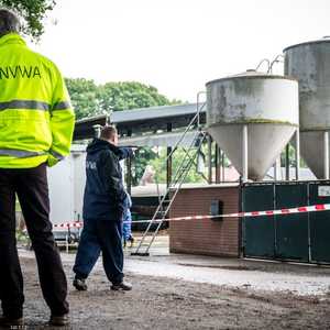 في مثل هذه المزارع يتم إعدام حيوان المينك بالغاز