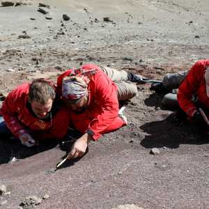 يُعتقد أن الحيوان الثديي الصغير عاش في جنوب باتاغونيا