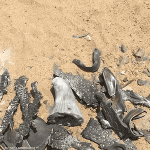 الصاروخ أطلق من محافظة صعدة