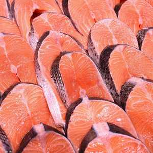 سمك السلمون - أرشيفية