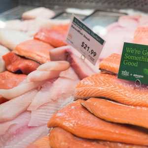 تستأنف النرويج تصدر سمك السلمون إلى الصين.