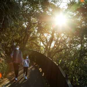 يعمل فيتامين "د" على تقوية جهاز المناعة.