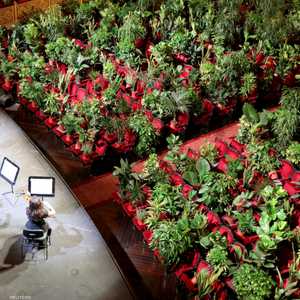 العازفون أبدعوا أمام جمهور من النباتات