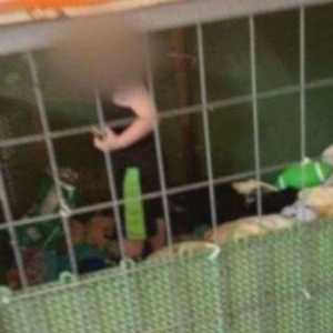 طفل صغير لا يتجاوز عمره 18 شهرا داخل قفص للكلاب