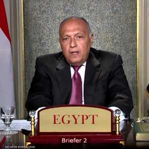 وزير الخارجية المصري سامح شكري