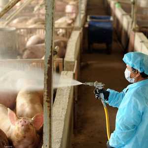 فيروس جديد يهدد العام قادما من الصين