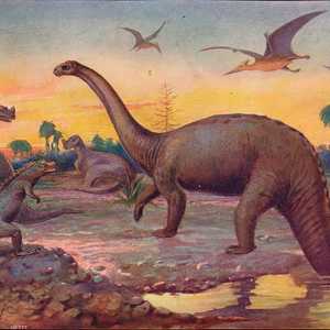 ارتطام كويكب هائل بالأرض تسبب بانقراض الديناصورات