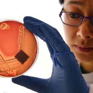 التجربة أجريت في المختبر