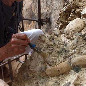 أرشيفية.. أعمال تنقيب عن بقايا إنسان "نياندرتال" البدائي