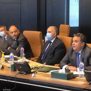 الوفد المصري برئاسة وزير الري