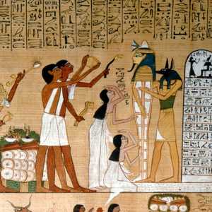 أداة غوغل ستسمح بفك الشفرات الهيروغليفية