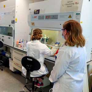 يسابق علماء أكسفورد الزمن لإنتاج لقاح لكورونا