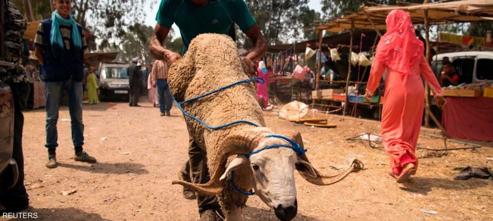 فترة عيد الأضحى تشهد رواجا في المغرب