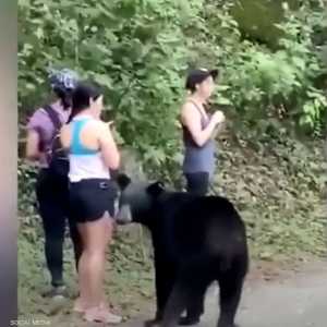 الحادثة وقعت بمتنزه "شيبينكي" في المكسيك