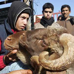 السلطات فرضت إجراءات وقائية في فترة عيد الأضحى