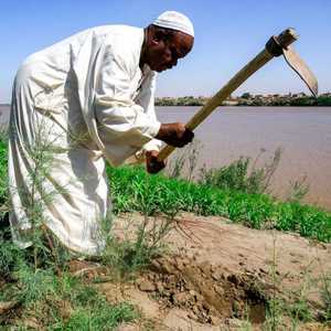 صورة أرشيفية لمزارع سوداني