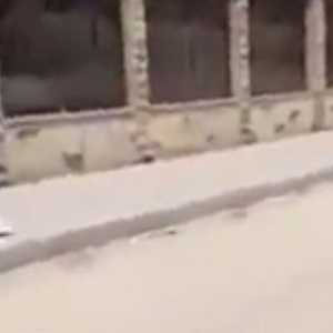 النيابة العامة أمرت في 3 يوليو بحبس المتهمين الاثنين