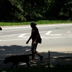 الكلب تأكدت إصابته بكورونا في مايو الماضي