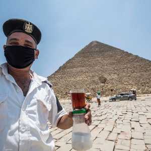 أرقام تتناقص بشكل مستمر في مصر