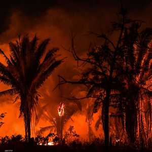 تعرضت غابات الأمازون إلى كارثة حرائق في عام 2019