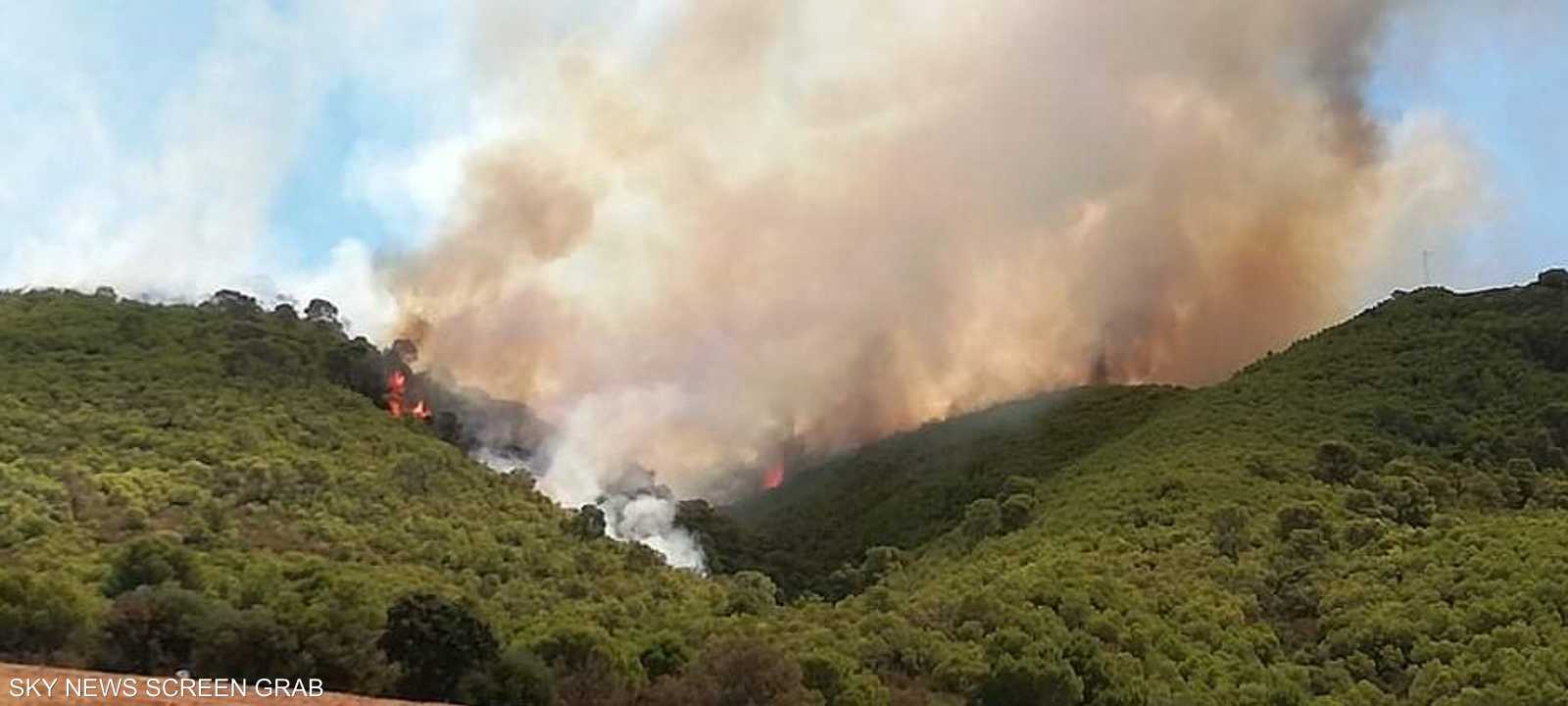 اندلاع حرائق في غابات تونس