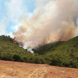 اندلاع حرائق في غابات تونس