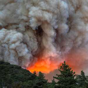 جانب من حرائق الغابات في كاليفورنيا.