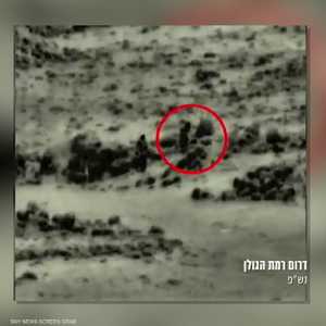 إسرائيل استتهدفت خلية لحزب الله في الجولان