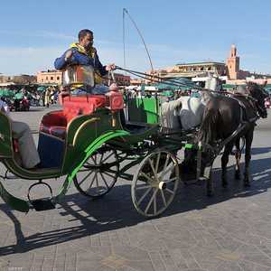 صورة أرشيفية من ميدان جامع الفناء الشهير
