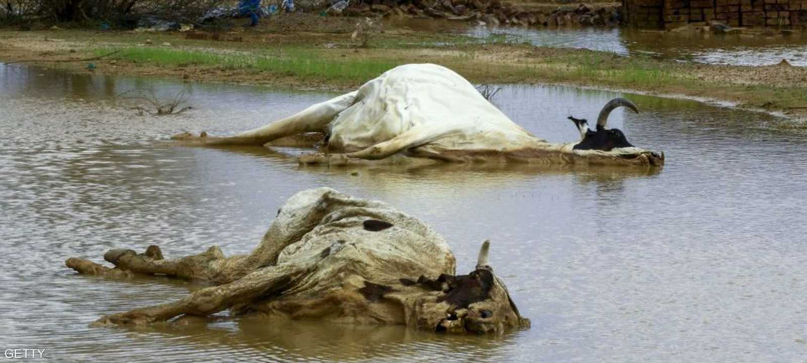 سيول قاتلة في السودان