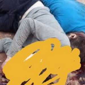 مذبحة في النيجر