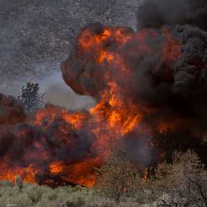 أتى الحريق على آلاف الهكتارات في زمن قياسي