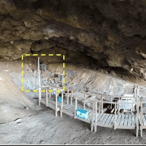 الأسرة اكتُشفت في جنوب إفريقيا