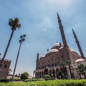 تمت الموافقة على عودة صلاة الجمعة بالمساجد الكبرى