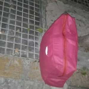 الحقيبة الزهرية