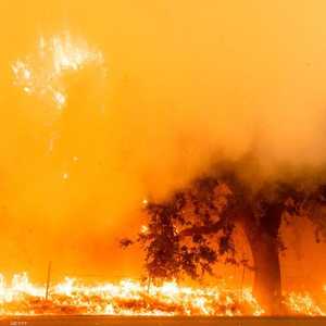 حرائق كاليفورنيا.. تروع الولاية الأميركية