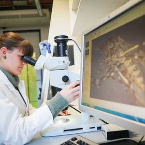 الدراسة قد تخدم جهود مكافحة الملاريا